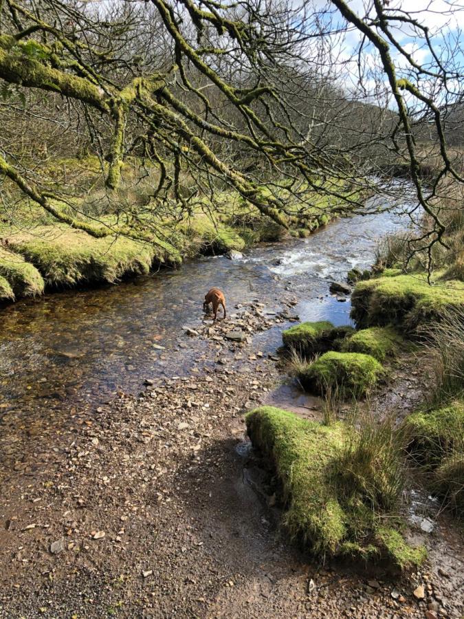 The Hayloft, Exmoor Bed and Breakfast Withypool Exteriör bild