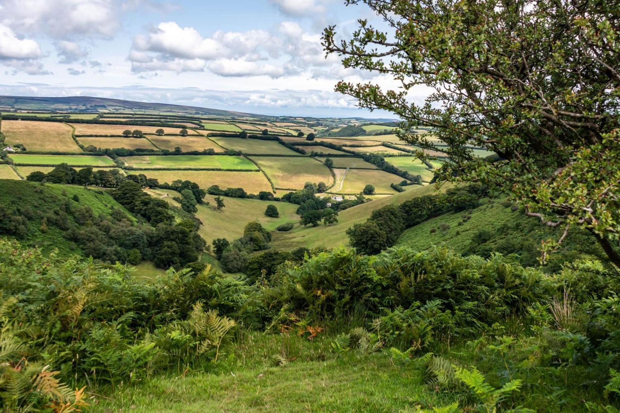 The Hayloft, Exmoor Bed and Breakfast Withypool Exteriör bild